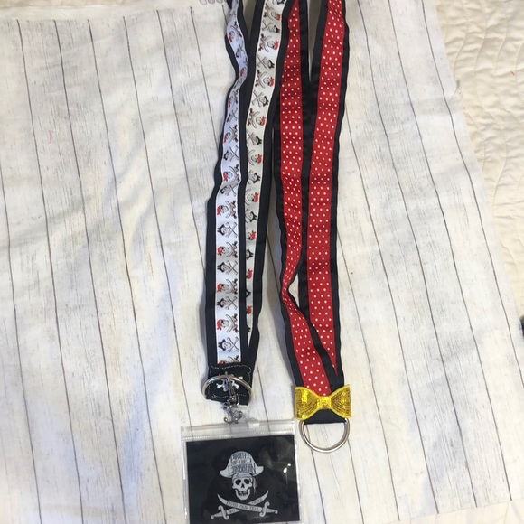 Disneyland pins. Holder bundle - Picture 1 of 6